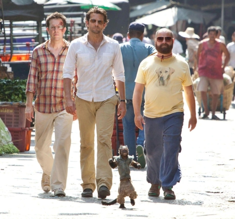 Dame una pata, amigo! Trágicos destinos de animales que fueron filmados en películas de Hollywood Dame una pata, amigo! Trágicos destinos de animales que fueron filmados en películas de Hollywood