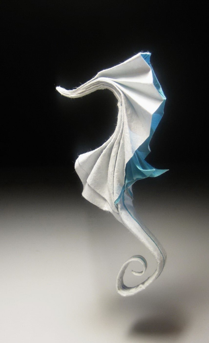 Damp: origami by Hoang Tien Kuet