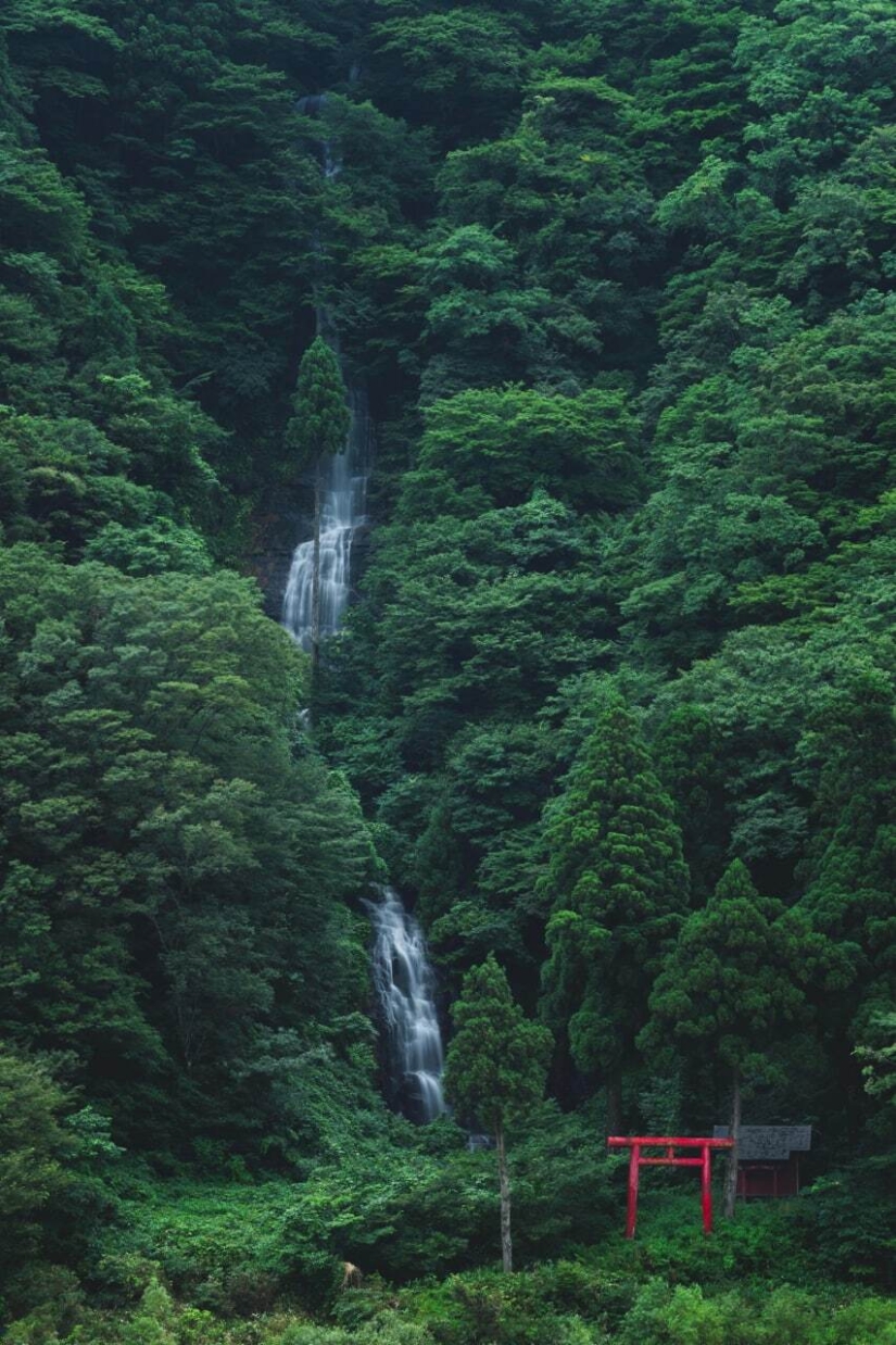 Datos fotográficos inusuales e interesantes sobre Japón