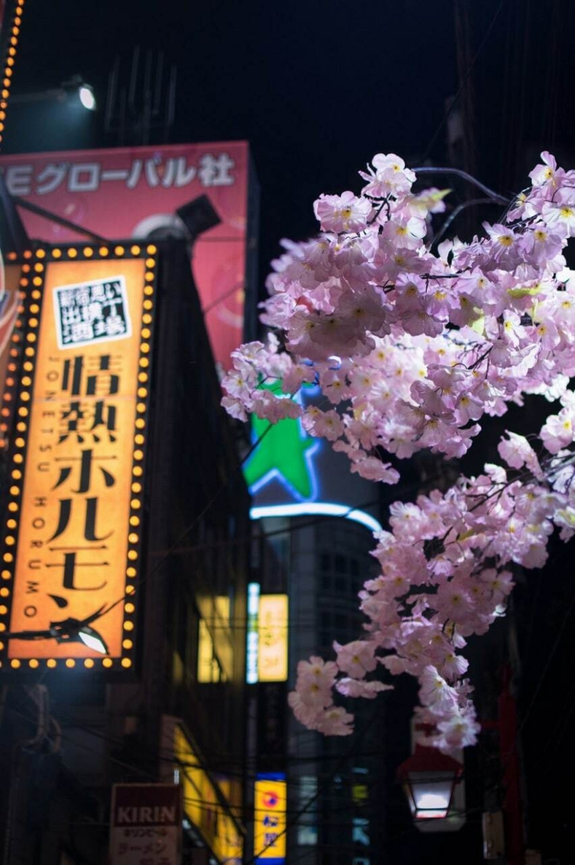 Datos fotográficos inusuales e interesantes sobre Japón