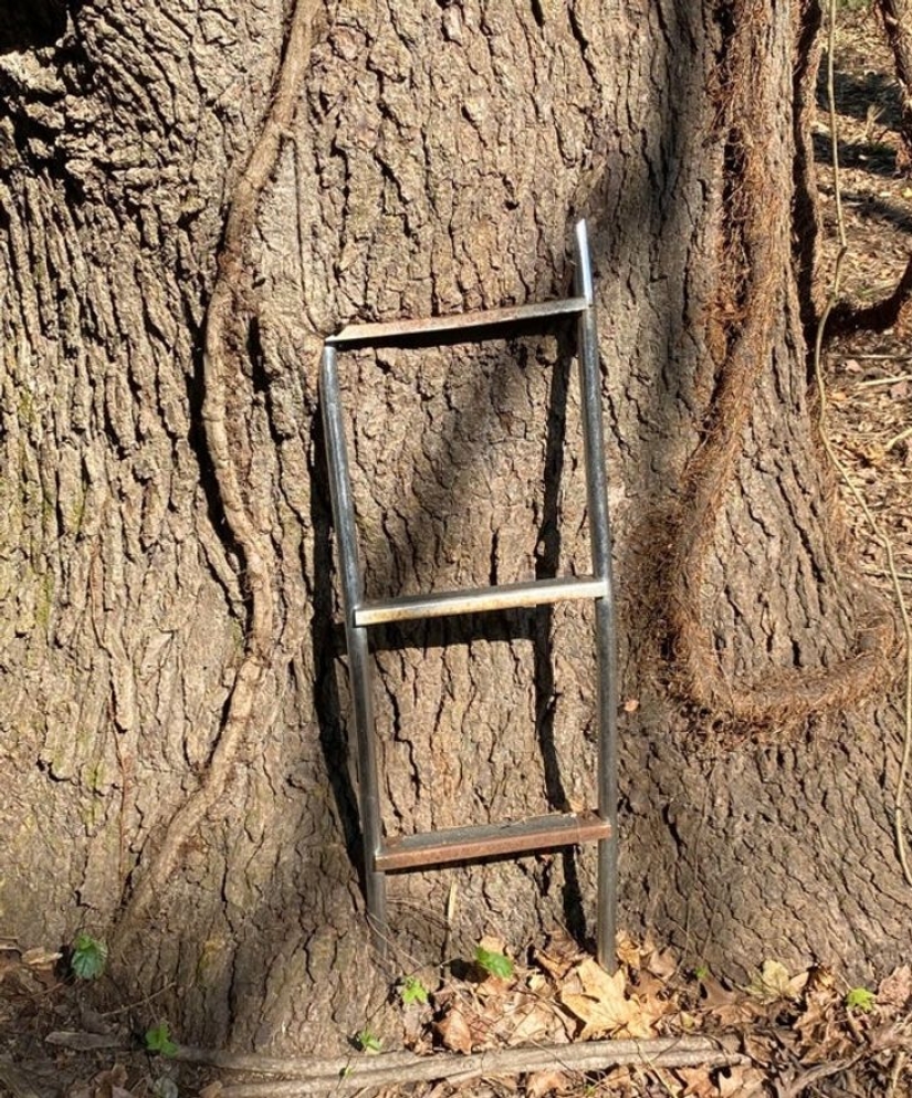 De la malaquita al billón de Zimbabue: 22 fotos asombrosas que no ves todos los días De la malaquita al billón de Zimbabue: 22 fotos asombrosas que no ves todos los días