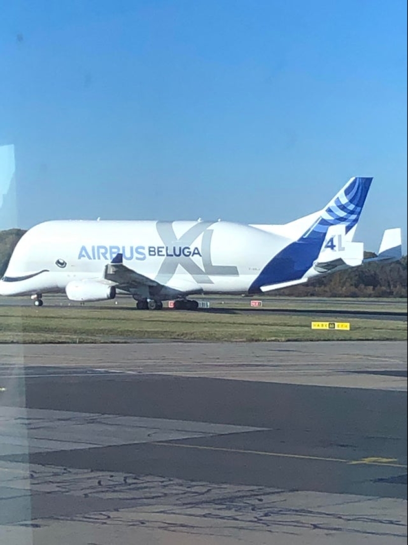 De la malaquita al billón de Zimbabue: 22 fotos asombrosas que no ves todos los días De la malaquita al billón de Zimbabue: 22 fotos asombrosas que no ves todos los días