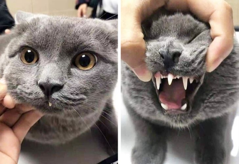 De la malaquita al billón de Zimbabue: 22 fotos asombrosas que no ves todos los días De la malaquita al billón de Zimbabue: 22 fotos asombrosas que no ves todos los días