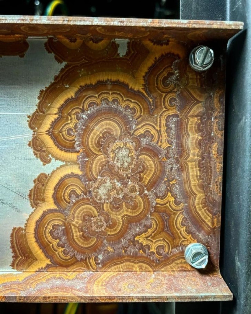 De la malaquita al billón de Zimbabue: 22 fotos asombrosas que no ves todos los días De la malaquita al billón de Zimbabue: 22 fotos asombrosas que no ves todos los días