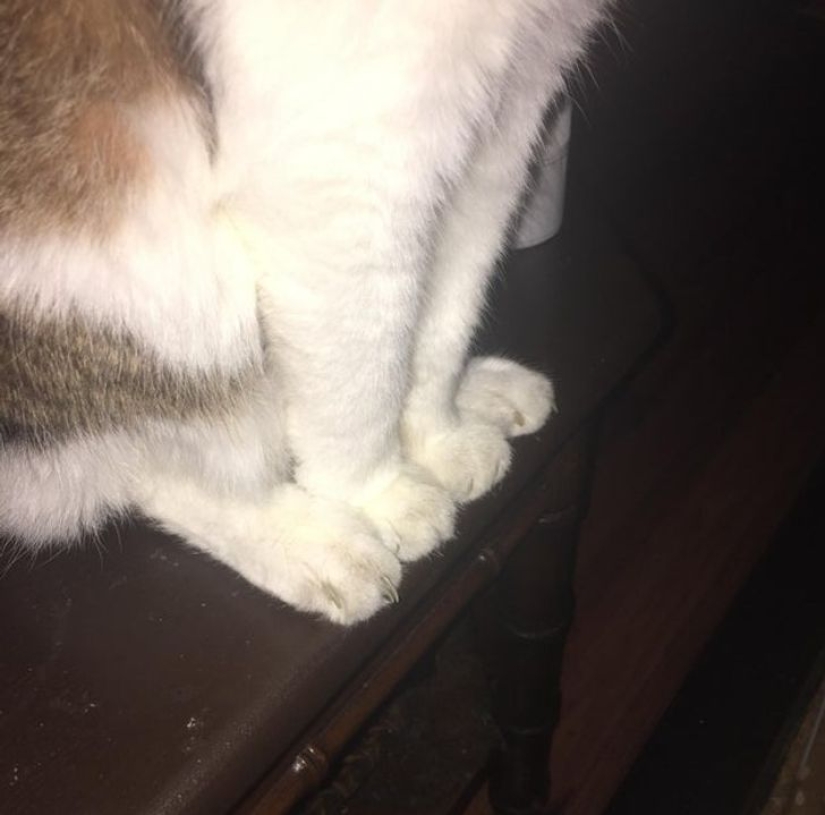 De la malaquita al billón de Zimbabue: 22 fotos asombrosas que no ves todos los días De la malaquita al billón de Zimbabue: 22 fotos asombrosas que no ves todos los días