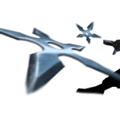 Deadly and beautiful weapons from the ninja arsenal Deadly and beautiful weapons from the ninja arsenal