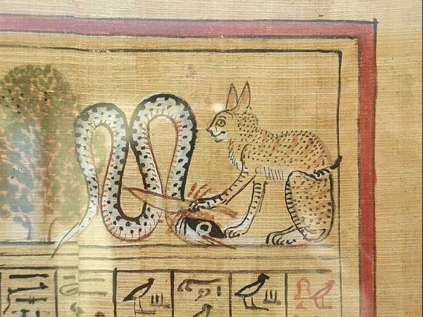 Del amor al odio: la historia de la difícil relación entre las personas y los gatos Del amor al odio: la historia de la difícil relación entre las personas y los gatos