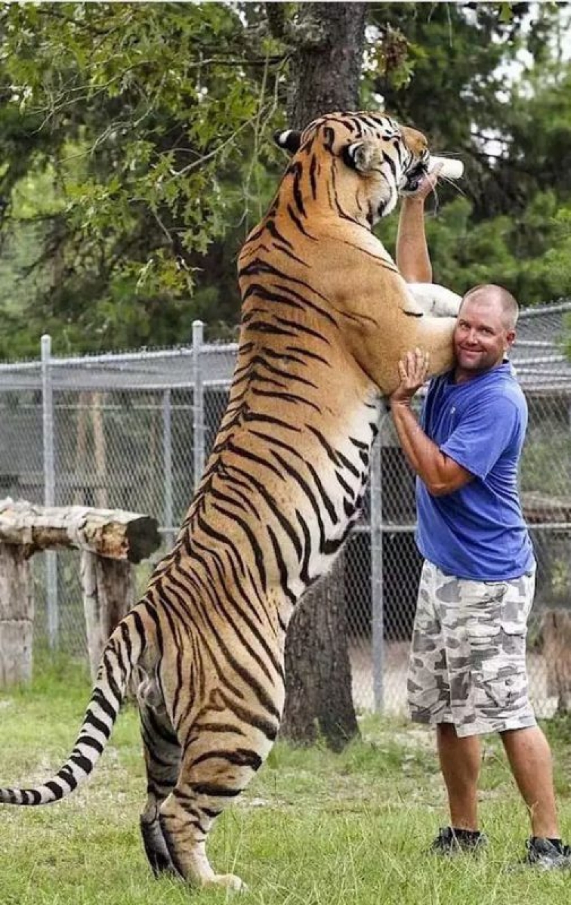 Demencia y coraje: 20 fotos de personas que no saben lo que es el miedo