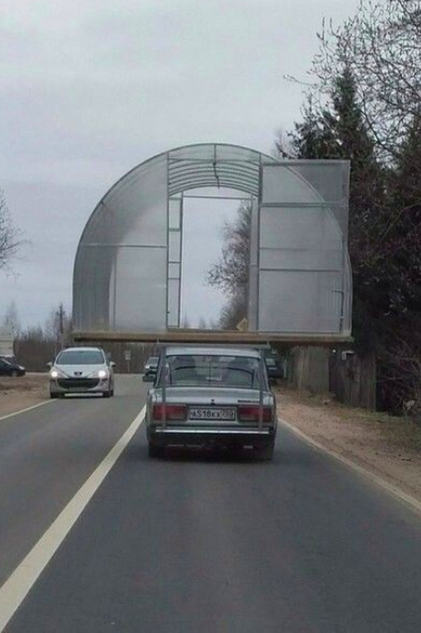 Dementia and courage: 20 photos of people who don't know what fear is Dementia and courage: 20 photos of people who don't know what fear is