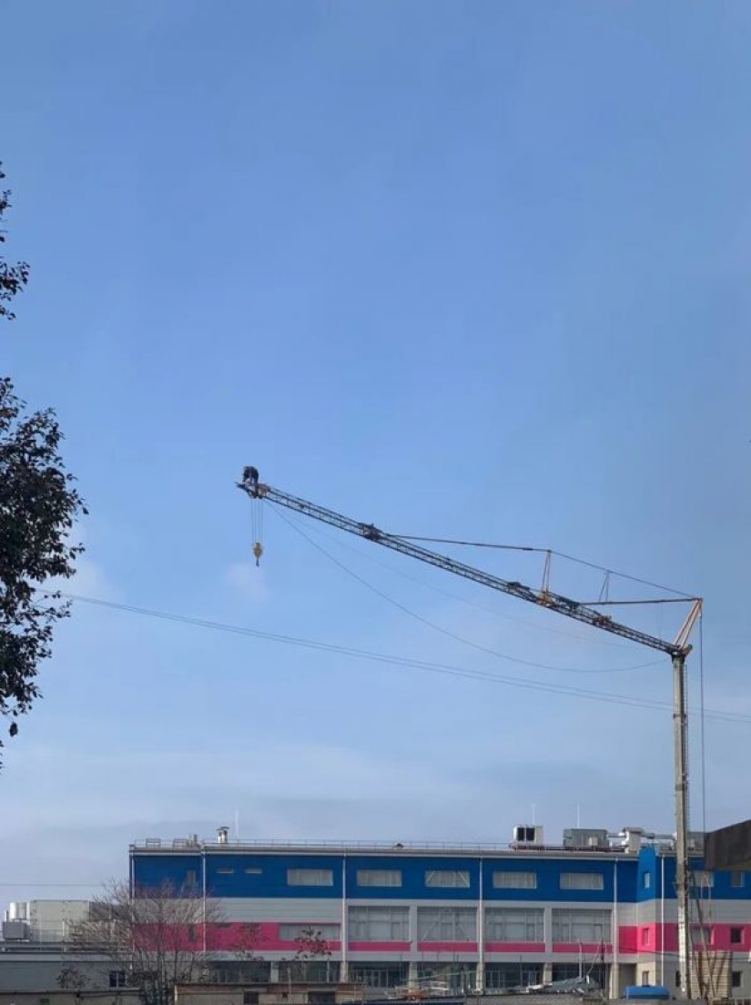 Dementia and courage: 20 photos of people who don't know what fear is Dementia and courage: 20 photos of people who don't know what fear is