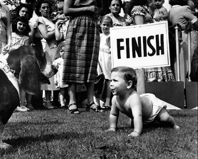 Derby in diapers: how were the retro races of crawling babies