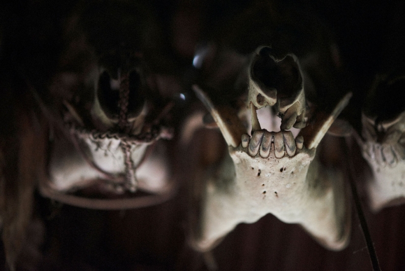 Desaparecerán en los próximos 100 años: un fotógrafo mostró las tribus en peligro de extinción