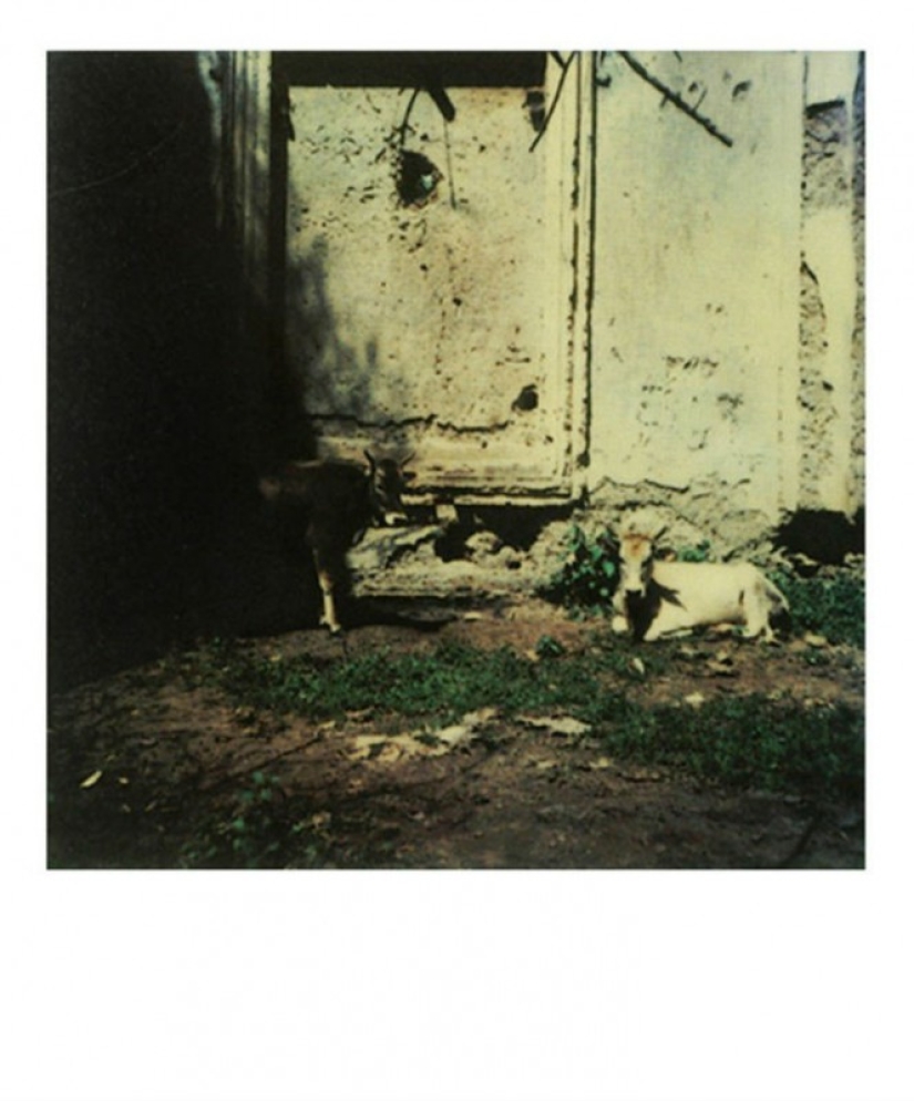 Desconocido Polaroids de Andrei Tarkovsky desde el archivo personal