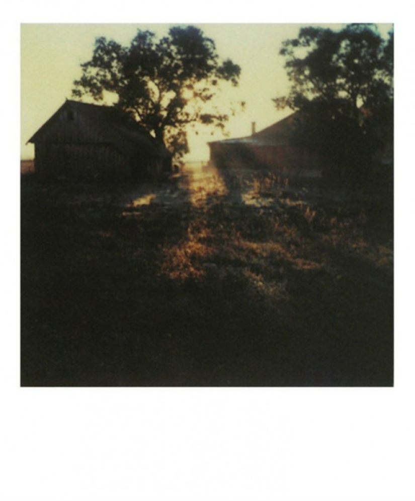 Desconocido Polaroids de Andrei Tarkovsky desde el archivo personal
