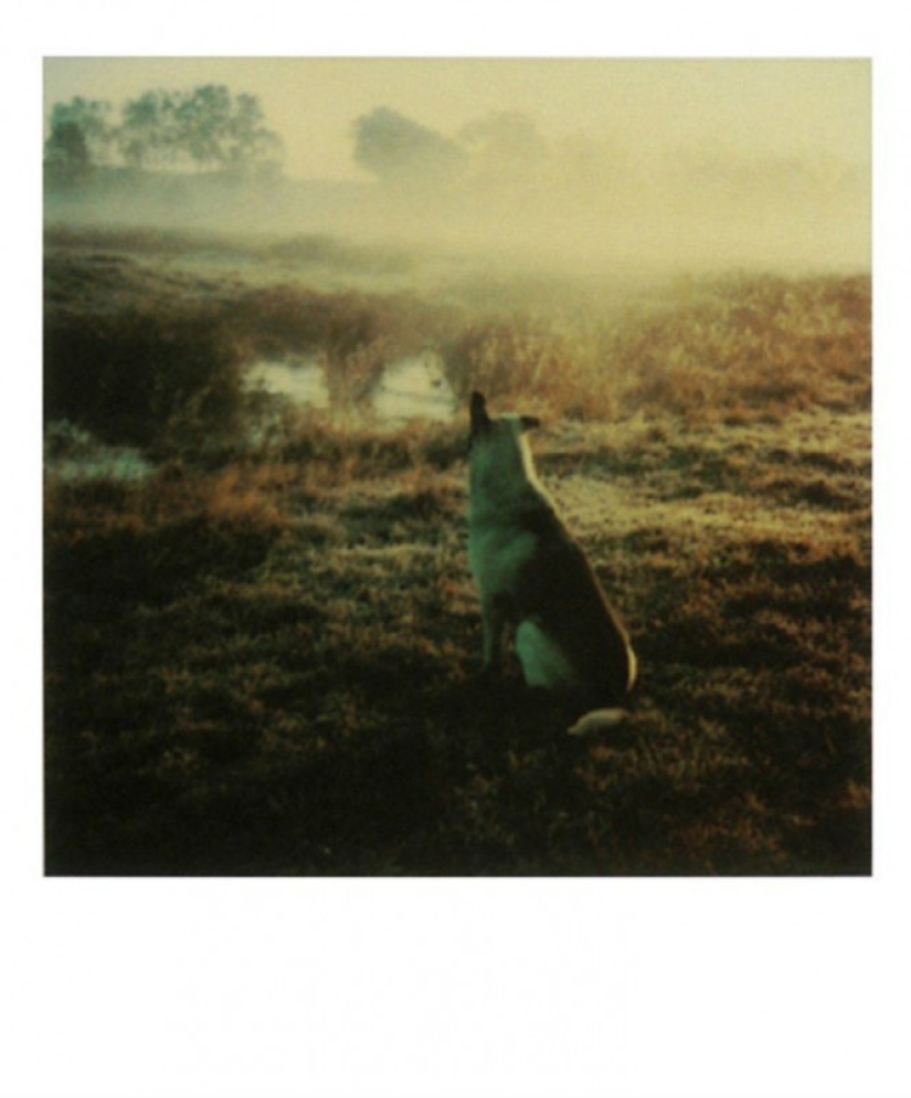 Desconocido Polaroids de Andrei Tarkovsky desde el archivo personal