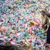 Desde el maestro de la tabla, o Cómo las exportaciones de EE.UU. de su basura a los países del tercer mundo Desde el maestro de la tabla, o Cómo las exportaciones de EE.UU. de su basura a los países del tercer mundo