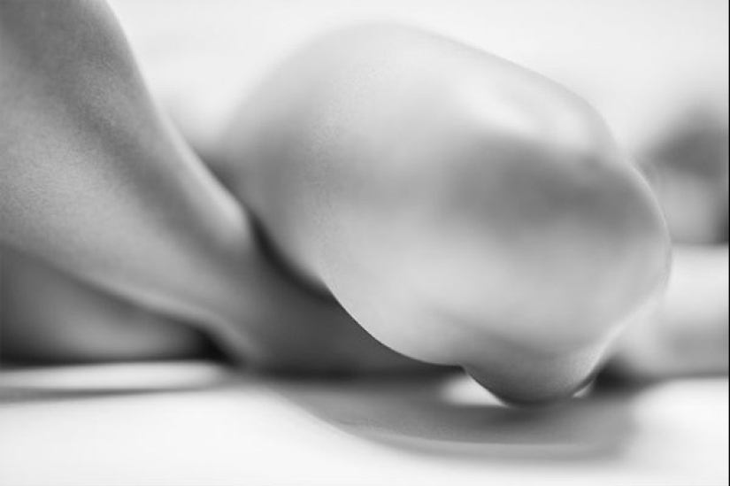 Desnudez abstracta de un artista alemán Desnudez abstracta de un artista alemán