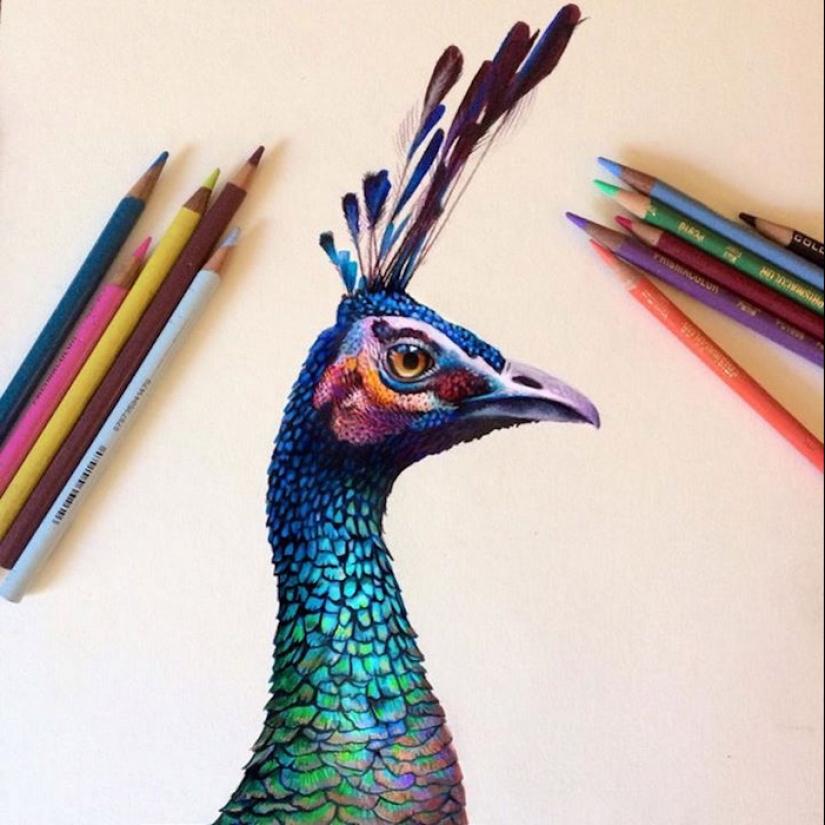 Dibujos hiperrealistas de un artista indio que son engañosos