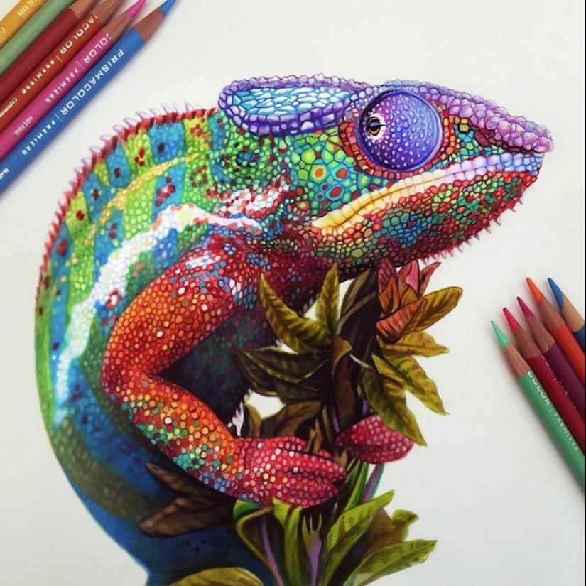 Dibujos hiperrealistas de un artista indio que son engañosos