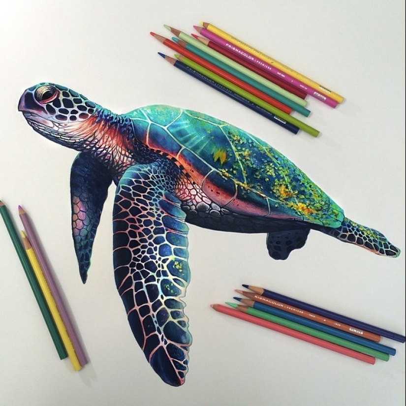 Dibujos hiperrealistas de un artista indio que son engañosos