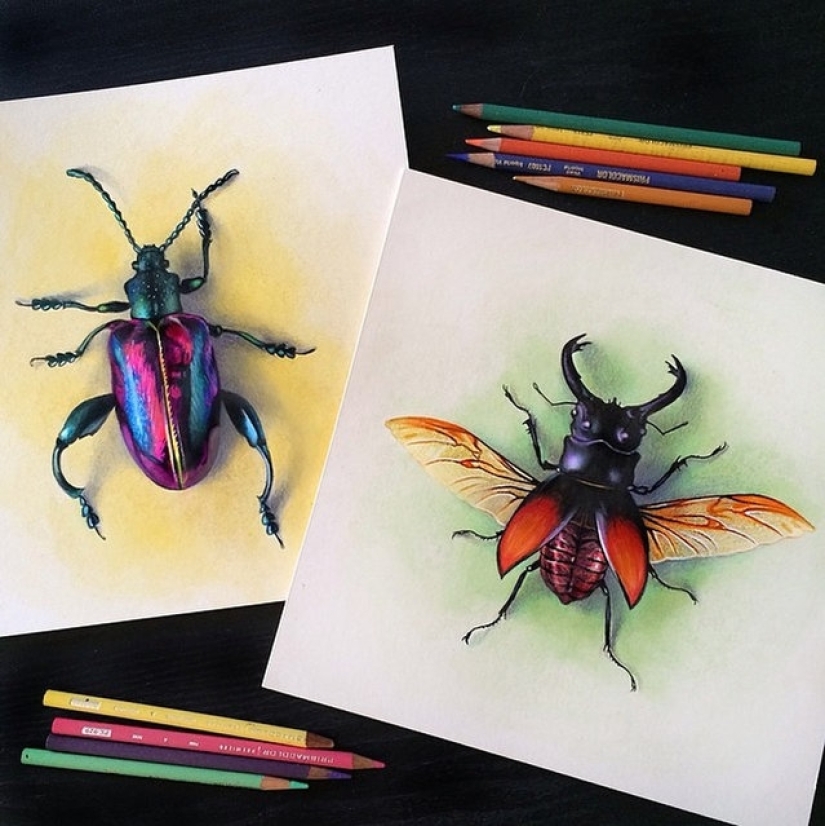 Dibujos hiperrealistas de un artista indio que son engañosos