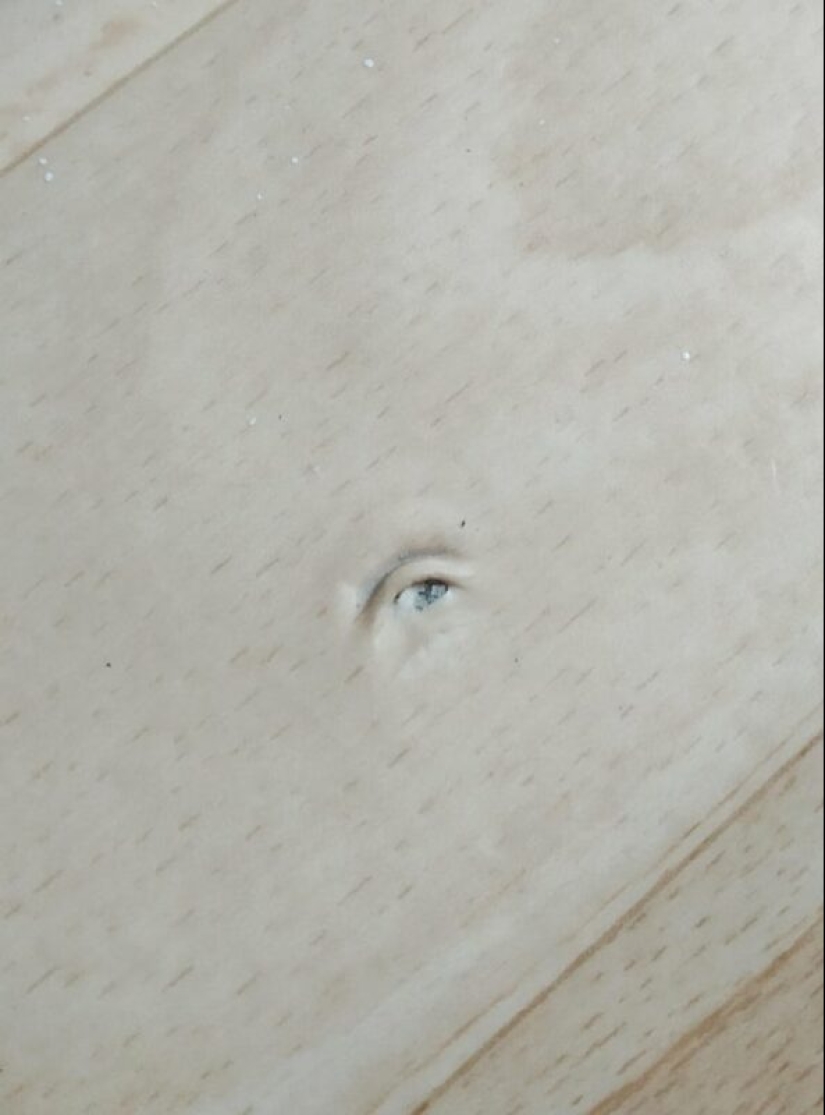 Did it seem or not? 22 photos of things that are very similar to other things