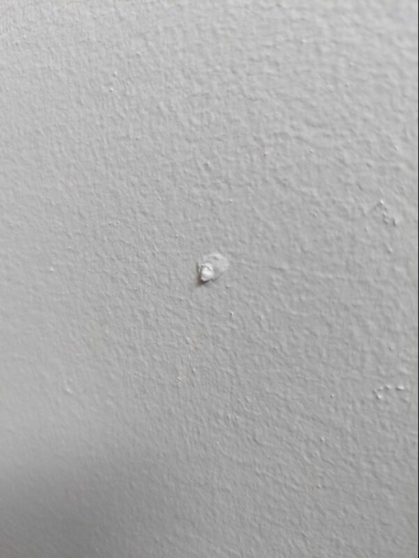 Did it seem or not? 22 photos of things that are very similar to other things