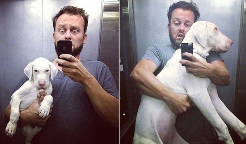 Dios, ayúdame a ser el tipo de persona que mi perro piensa que soy Dios, ayúdame a ser el tipo de persona que mi perro piensa que soy