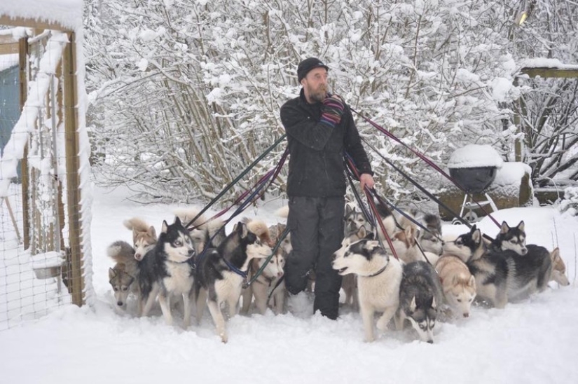 Dios, ayúdame a ser el tipo de persona que mi perro piensa que soy Dios, ayúdame a ser el tipo de persona que mi perro piensa que soy