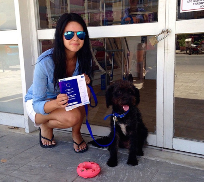 Dios, ayúdame a ser el tipo de persona que mi perro piensa que soy Dios, ayúdame a ser el tipo de persona que mi perro piensa que soy