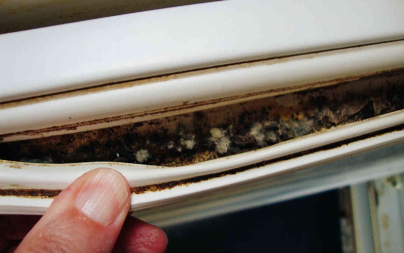 Dirtiest place in any apartment Dirtiest place in any apartment