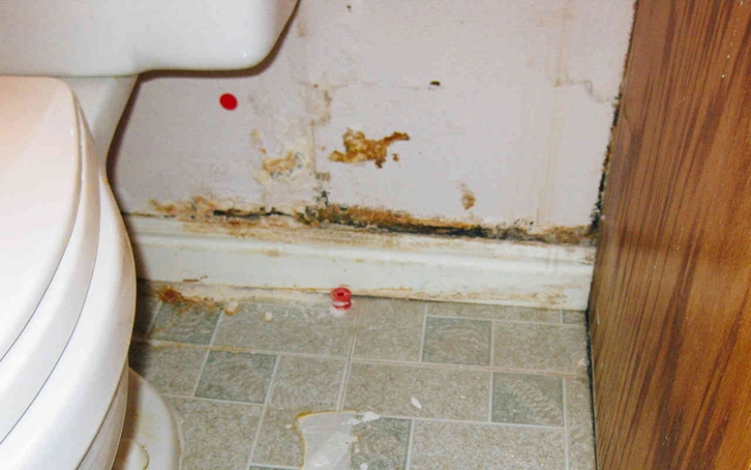 Dirtiest place in any apartment Dirtiest place in any apartment