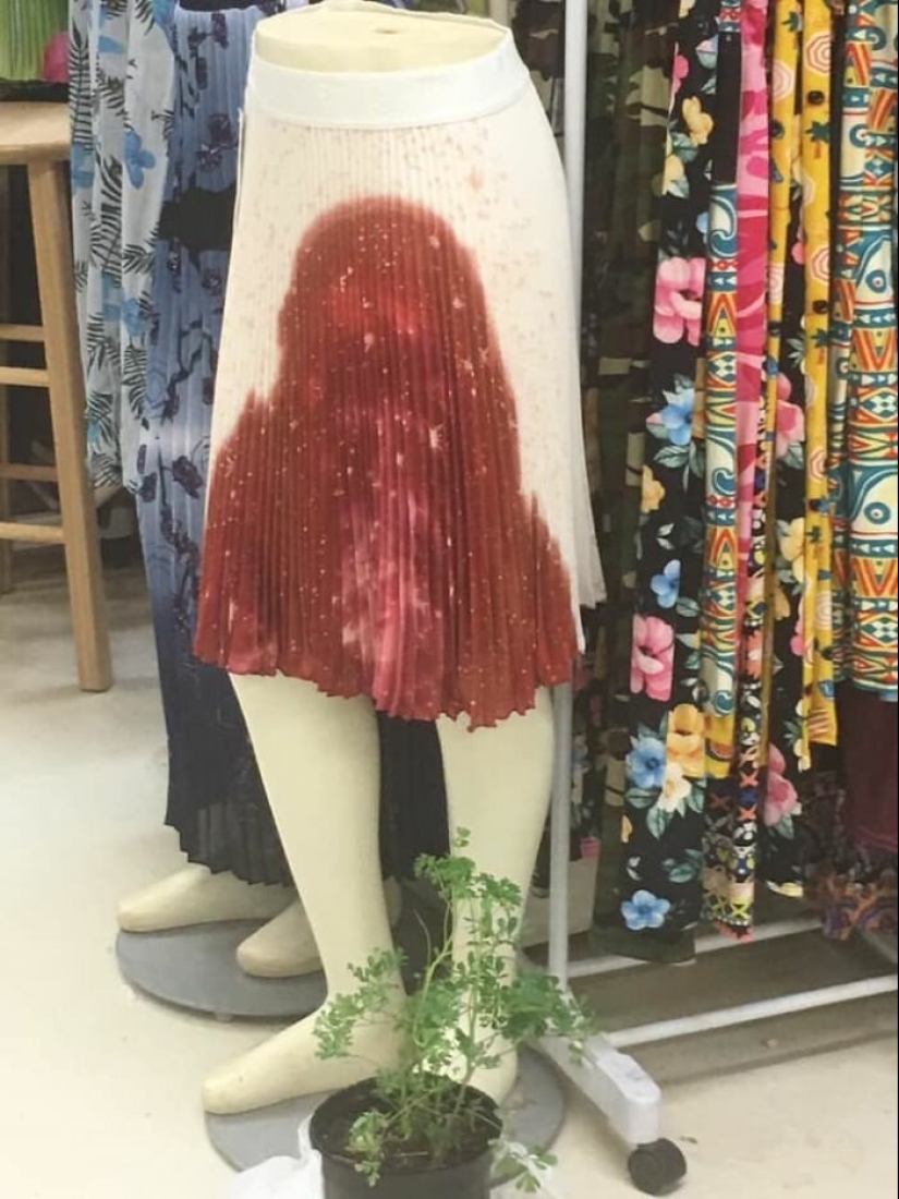 Disco pig, the phone-mouth and other curios, bought with it