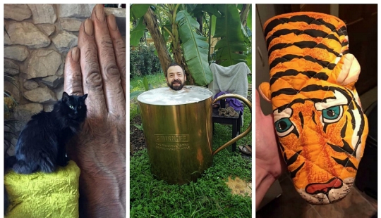 Disco pig, the phone-mouth and other curios, bought with it