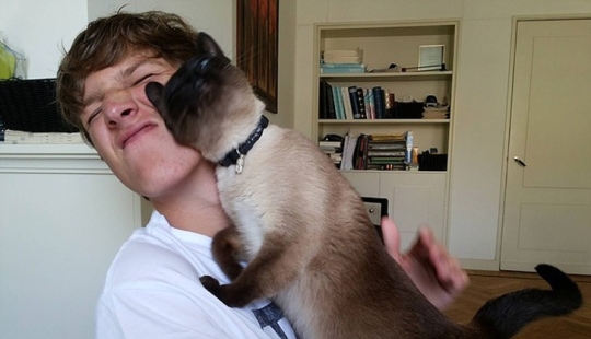 Divertidos animales que necesitan la atención del titular ahora mismo