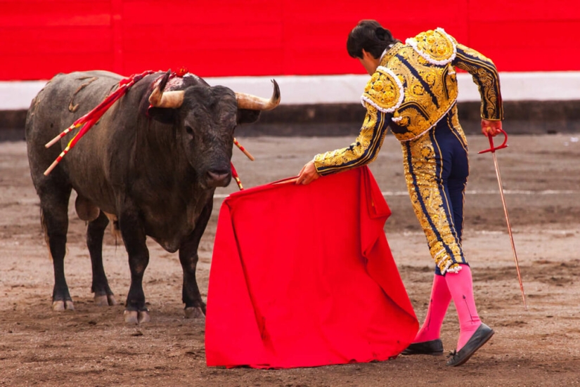 Do bulls react to the color red? Do bulls react to the color red?