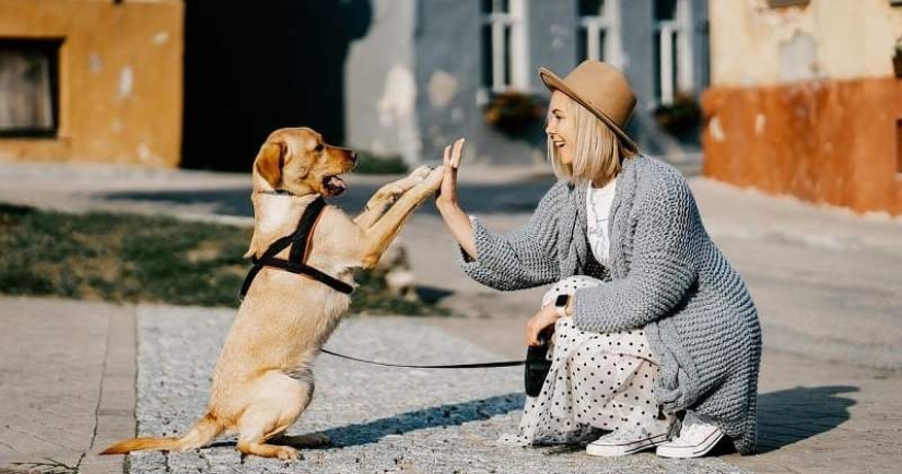 Do dogs have a memory and how good is it? Do dogs have a memory and how good is it?