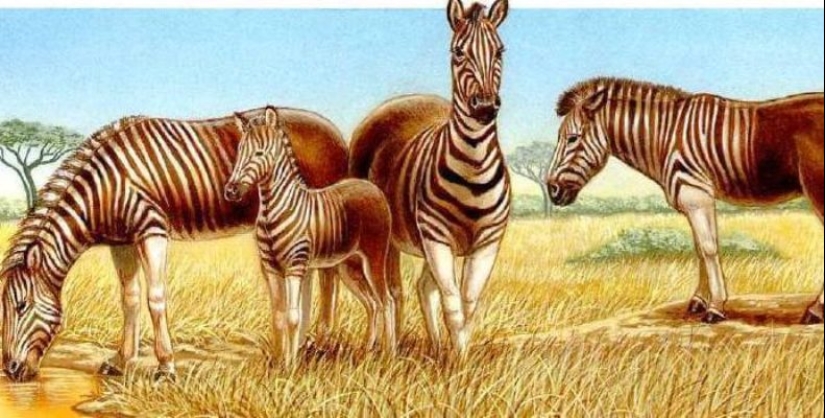 Dodo from bec: 10 extinct animal species that will soon be revived Dodo from bec: 10 extinct animal species that will soon be revived