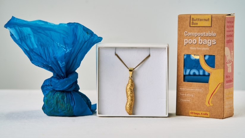 Dog poop turned into stylish gold jewelry
