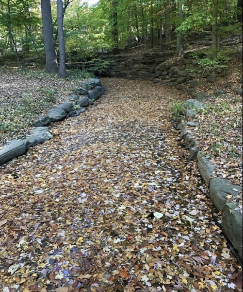 Don't believe your eyes! 22 Amazing Optical Puzzle Photos