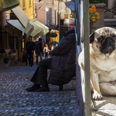 Don't believe your eyes! 22 Amazing Optical Puzzle Photos