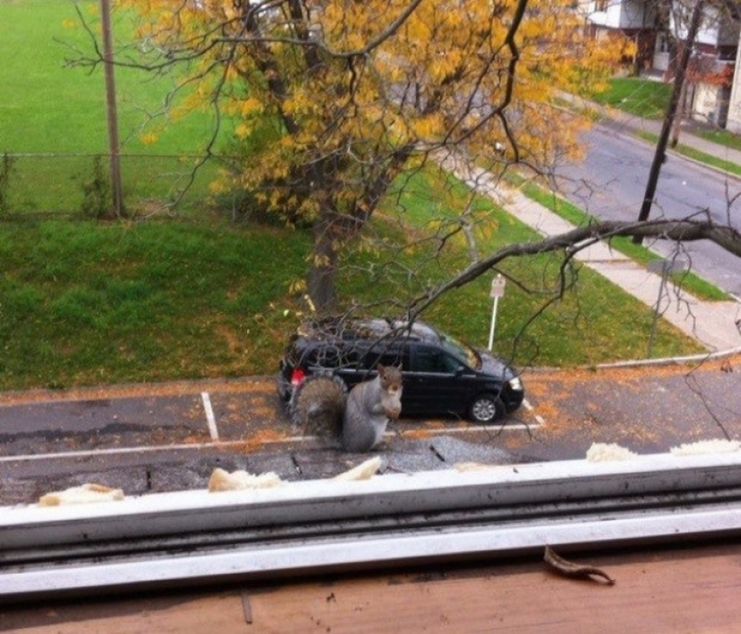 Don't believe your eyes! 22 Amazing Optical Puzzle Photos