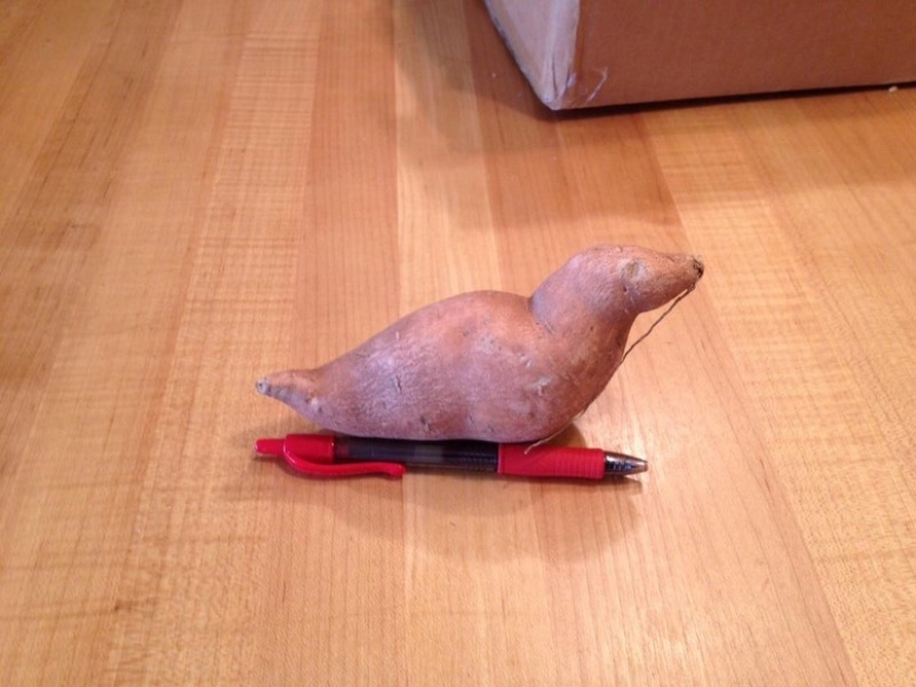 Don't believe your eyes! 22 Amazing Optical Puzzle Photos