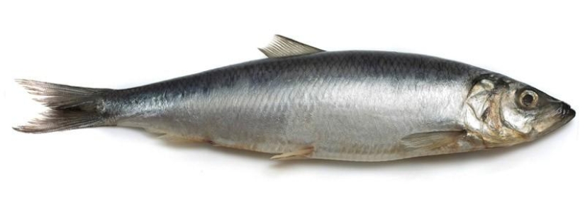 Don't eat this! List of dangerous products