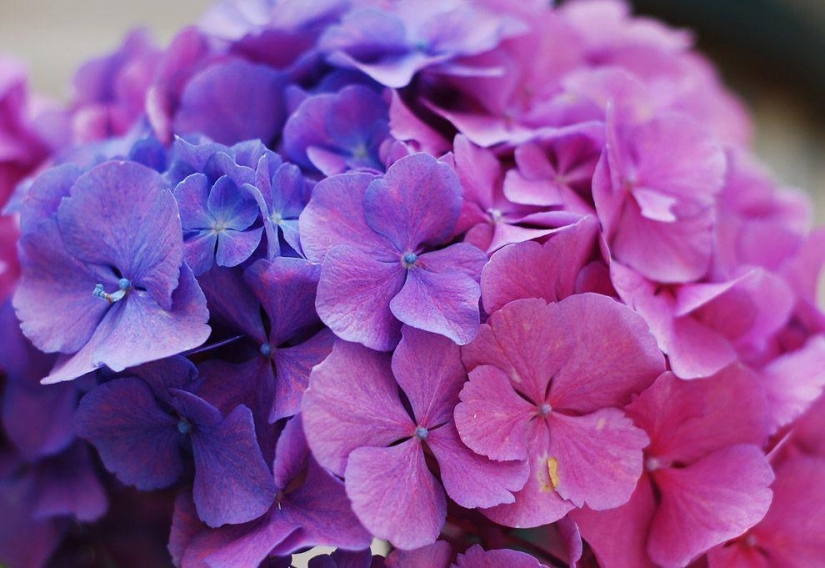 Donde vive el cuento de hadas: pequeños pueblos con encanto en Italia