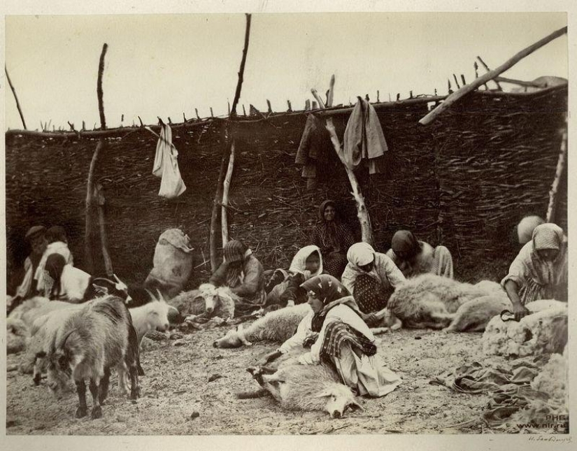 Donskoy album by Ivan Vasilyevich Boldyrev