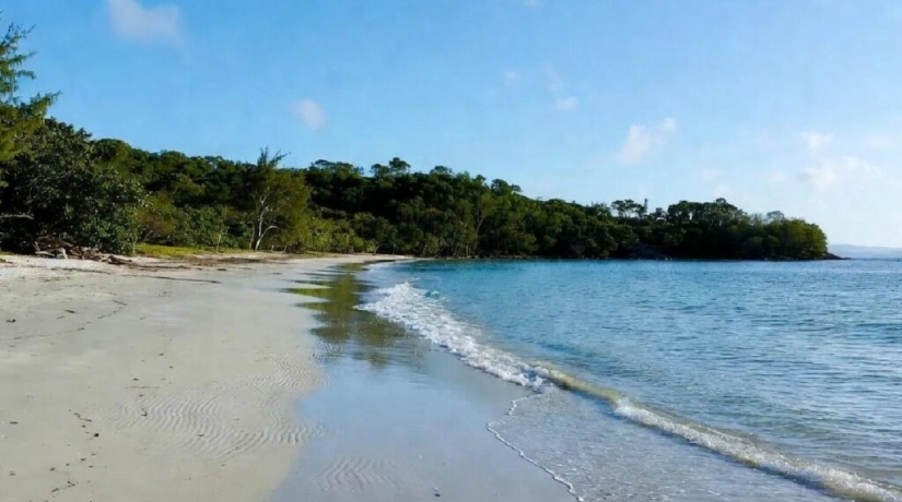 Dos estadounidenses planearon capturar la isla y matar a sus habitantes.