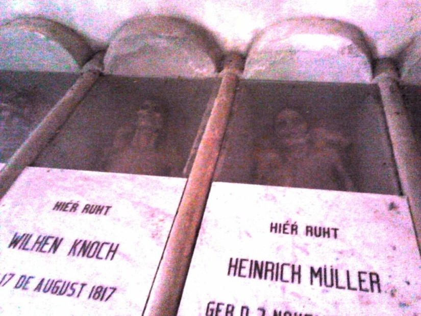 Dr. Knoche and his “mummy factory” in the jungles of Venezuela