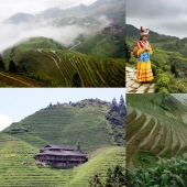 Dragon Ridge Rice Terraces» Dragon Ridge Rice Terraces»
