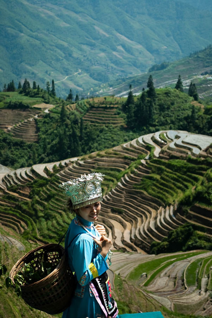 Dragon Ridge Rice Terraces»